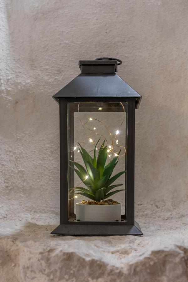 Villa Amfora Lipci エクステリア 写真