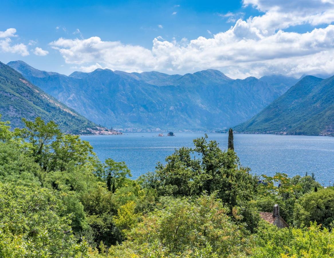 Villa Amfora Lipci エクステリア 写真